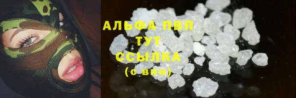 прущие грибы Абинск