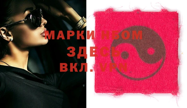 индика Саяногорск