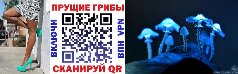 Псилоцибиновые грибы Magic Shrooms  omg вход  Ковров 